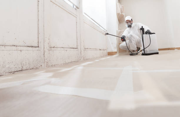 24/7 Emergency Mold Testing experts in Westminster, TX