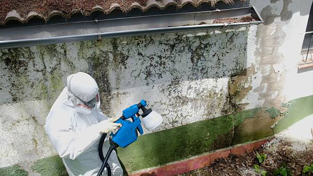 Trusted Mold Testing service in Westminster, TX - Cheap Mold Removal